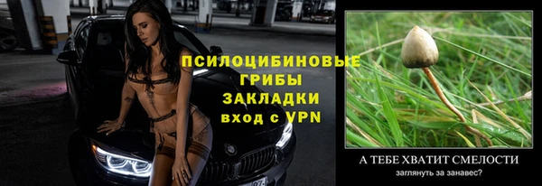 кокс Ладушкин