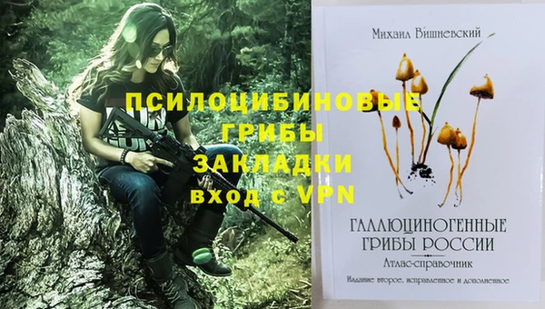 первитин Кукмор