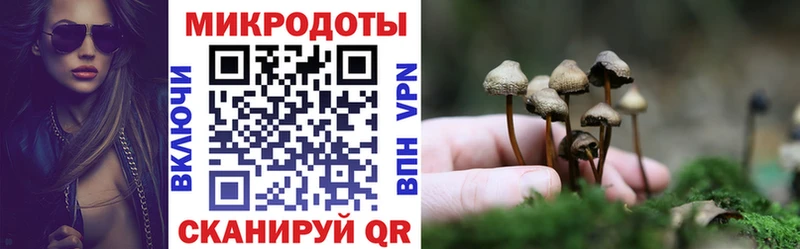 хочу наркоту  Любим  Галлюциногенные грибы Cubensis 